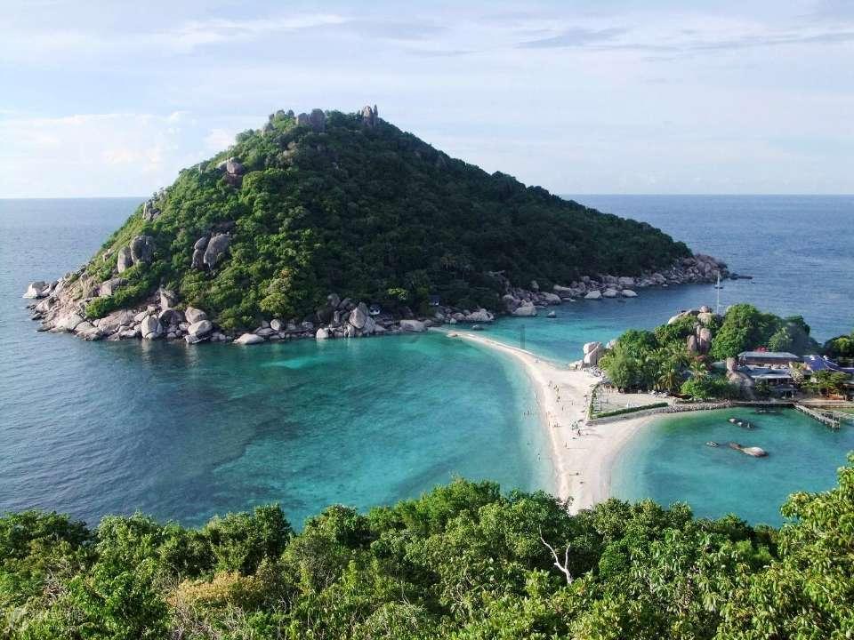 爱丽丝和闺蜜